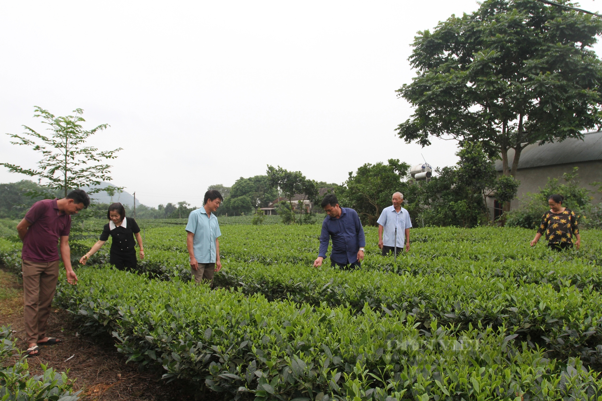 Đây là xã được chọn xây dựng nông thôn mới thông minh ở Thái Nguyên- Ảnh 1.
