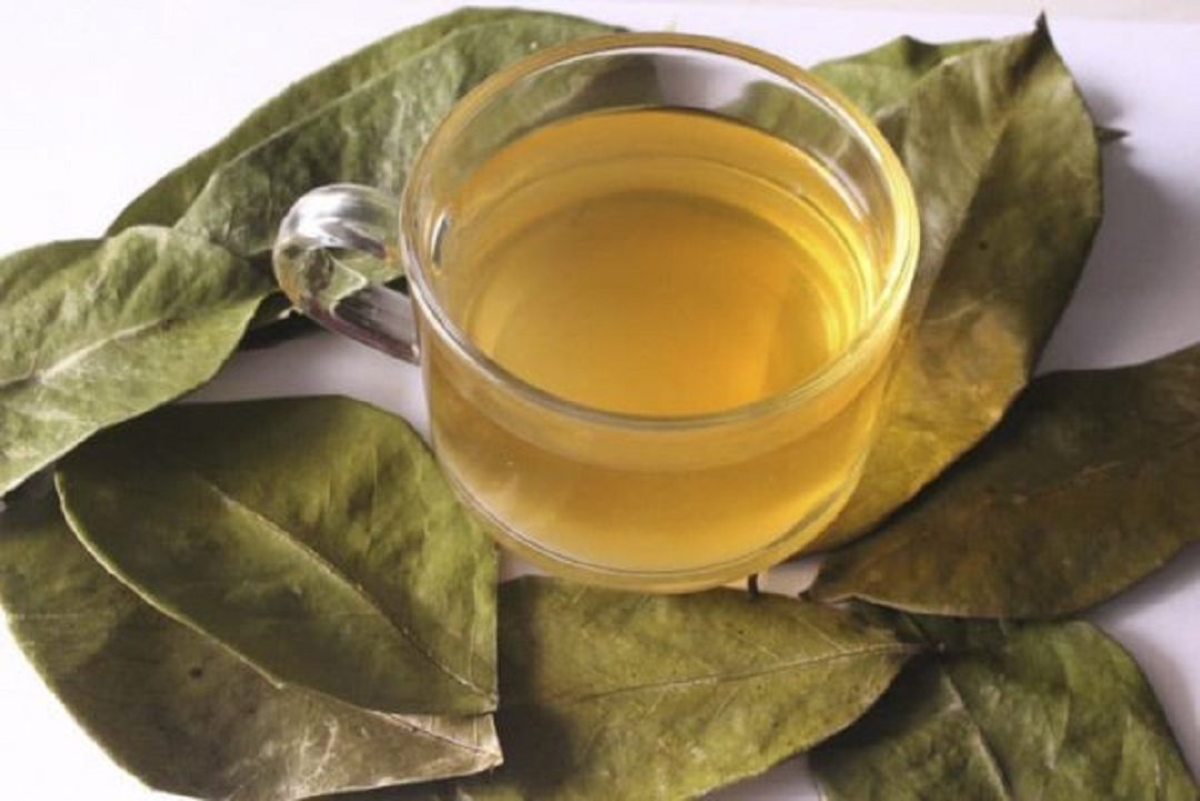 Loại lá "độc đáo", tươi không ai ngó mang đi phơi khô bán gần 300.000 đồng/kg- Ảnh 4. Loại lá "độc đáo", tươi không ai ngó mang đi phơi khô bán gần 300.000 đồng/kg- Ảnh 4.