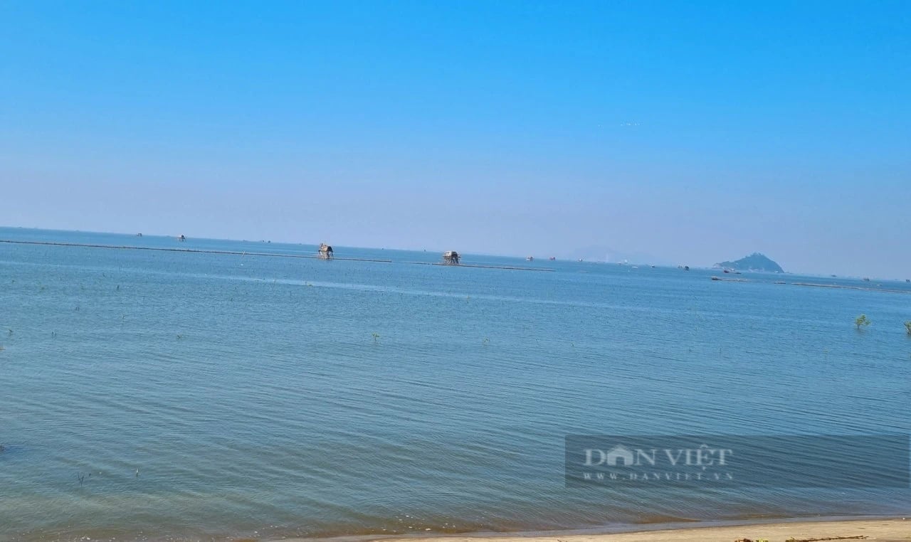Tỉnh có đội tàu nhỏ bé nhất trong 28 tỉnh, thành ven biển của Việt Nam nỗ lực gỡ "thẻ vàng" IUU - Ảnh 4.