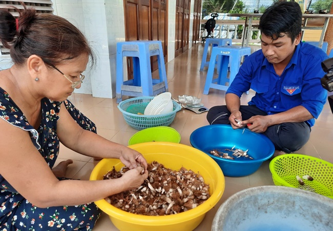 Trồng thành công thứ nấm ngon, giàu sắt, giàu canxi, nhặt loại lớn, anh nông dân Tiền Giang bán 210.000 đồng/kg- Ảnh 1.
