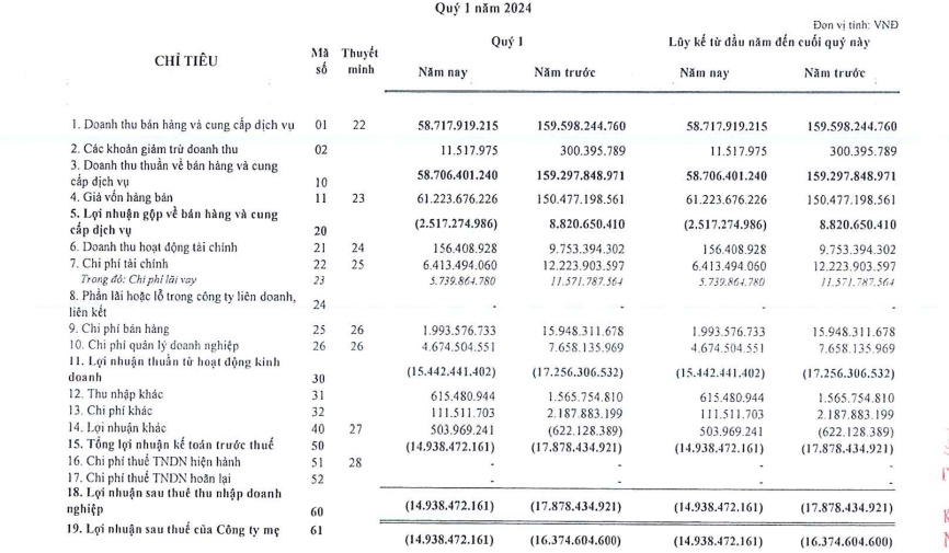 Angimex (AGM): Lỗ lũy kế gấp 24 lần vốn chủ, sắp bán loạt tài sản để trả nợ vay- Ảnh 1.