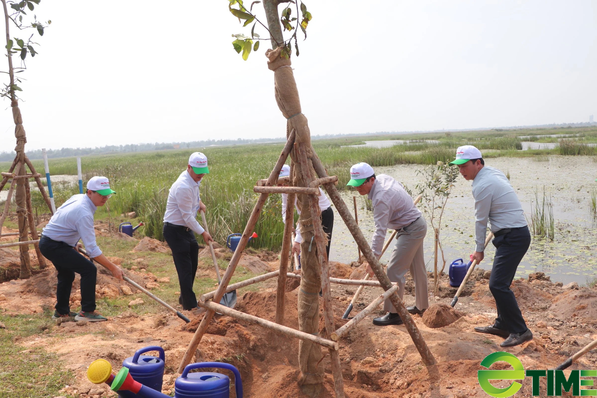 Đầu tư hàng chục tỷ đồng trồng rừng, thành phố Tam Kỳ hướng tới "thủ phủ xanh"- Ảnh 1. Đầu tư hàng chục tỷ đồng trồng rừng, thành phố Tam Kỳ hướng tới "thủ phủ xanh"- Ảnh 1.