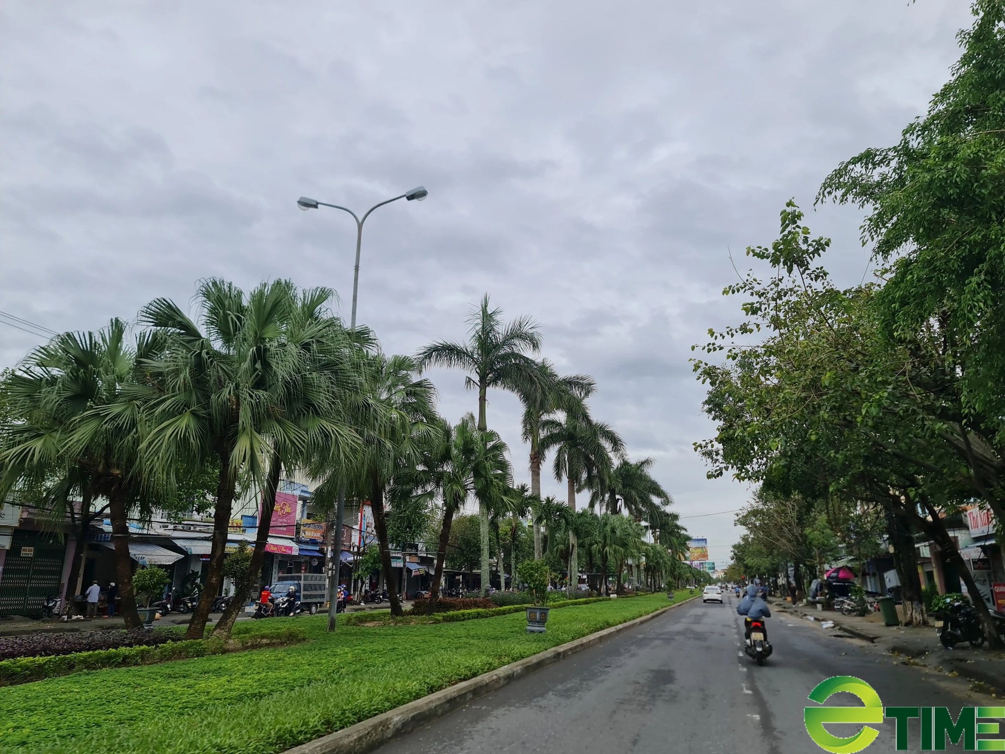 Đầu tư hàng chục tỷ đồng trồng rừng, thành phố Tam Kỳ hướng tới "thủ phủ xanh"- Ảnh 2. Đầu tư hàng chục tỷ đồng trồng rừng, thành phố Tam Kỳ hướng tới "thủ phủ xanh"- Ảnh 2.