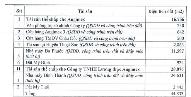 Angimex (AGM): Lỗ lũy kế gấp 24 lần vốn chủ, sắp bán loạt tài sản để trả nợ vay- Ảnh 2.