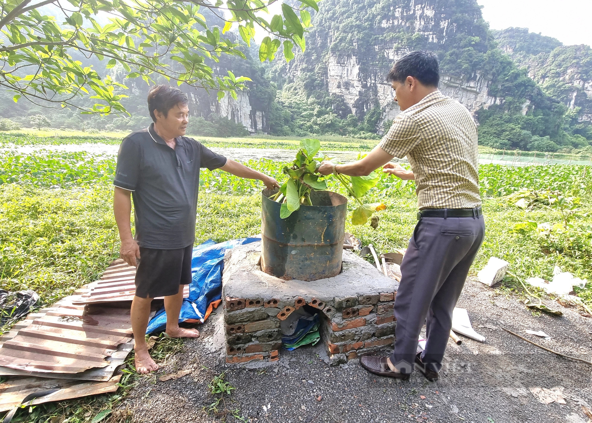 Nuôi ốc đặc sản la liệt chả giống ai, ông nông dân Ninh Bình lãi 350 triệu đồng/năm- Ảnh 6.