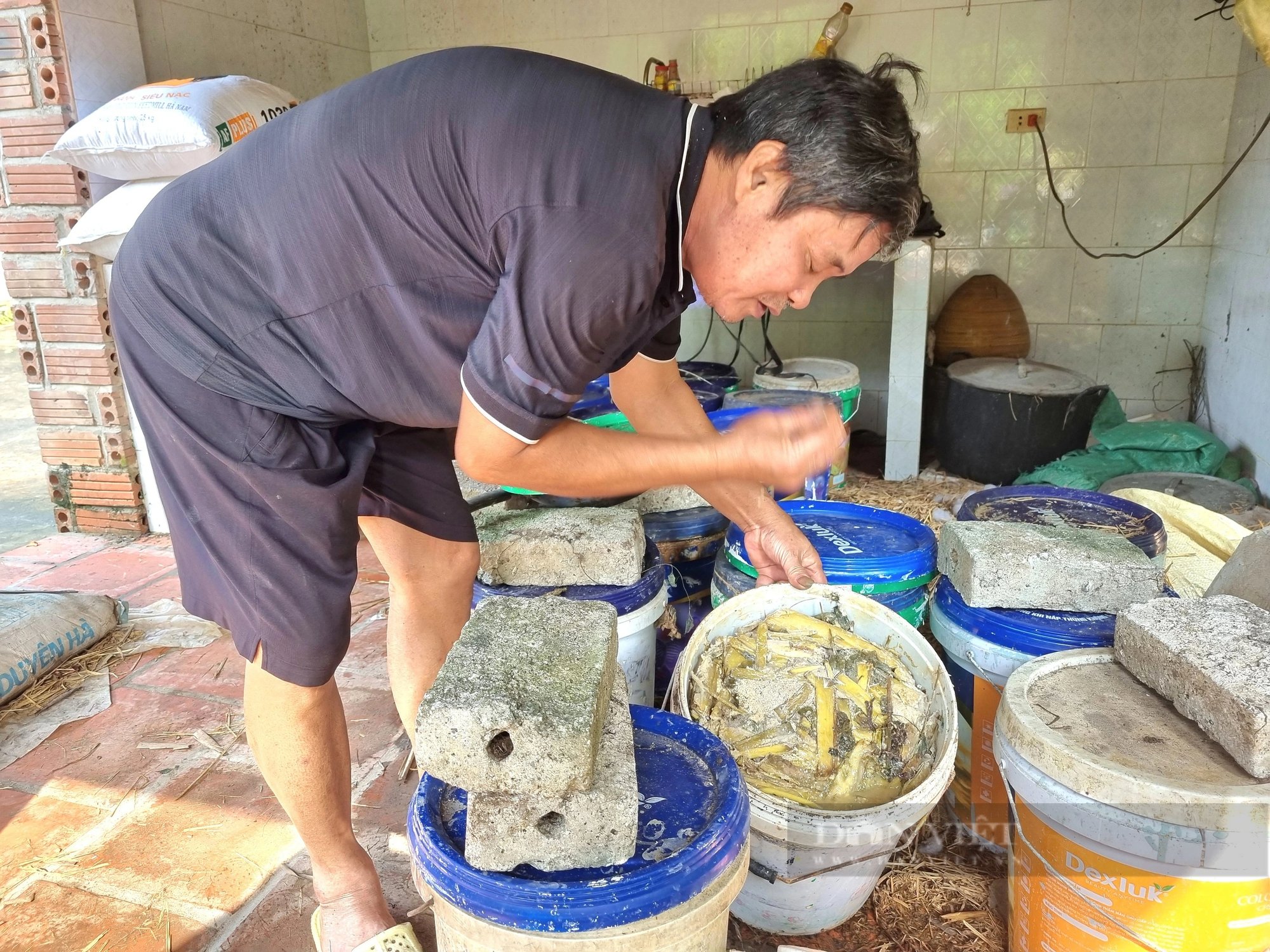 Nuôi ốc đặc sản la liệt chả giống ai, ông nông dân Ninh Bình lãi 350 triệu đồng/năm- Ảnh 7.