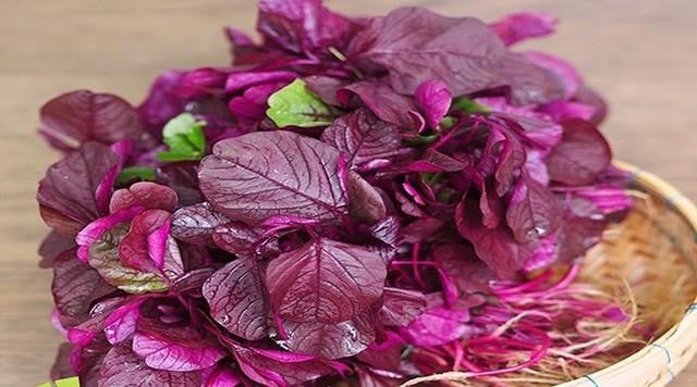 4 loại rau dân dã mọc đầy ở các vùng quê Việt Nam nhưng được thế giới săn lùng gọi là "rau thần dược"- Ảnh 5.