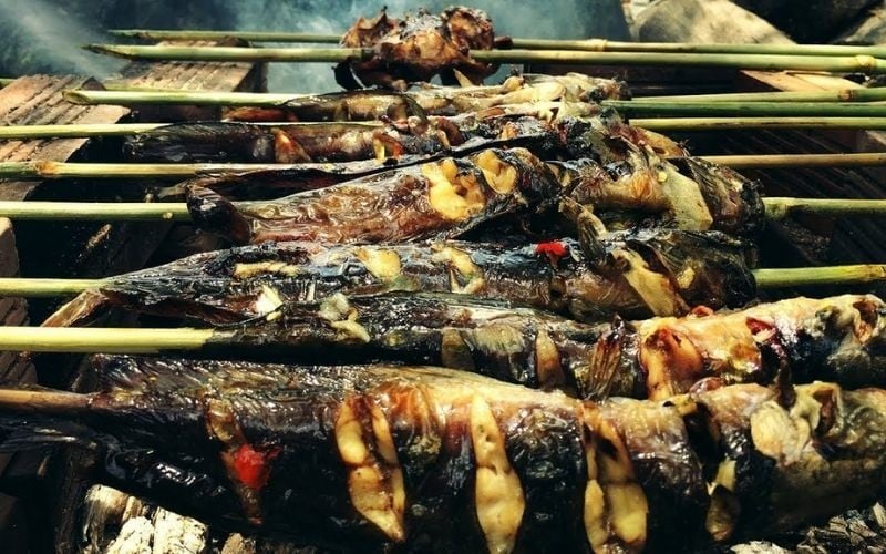 Anh nông dân kiếm hàng trăm triệu nhờ nuôi loại cá "sống ở trên cạn"- Ảnh 5. Anh nông dân kiếm hàng trăm triệu nhờ nuôi loại cá "sống ở trên cạn"- Ảnh 5.