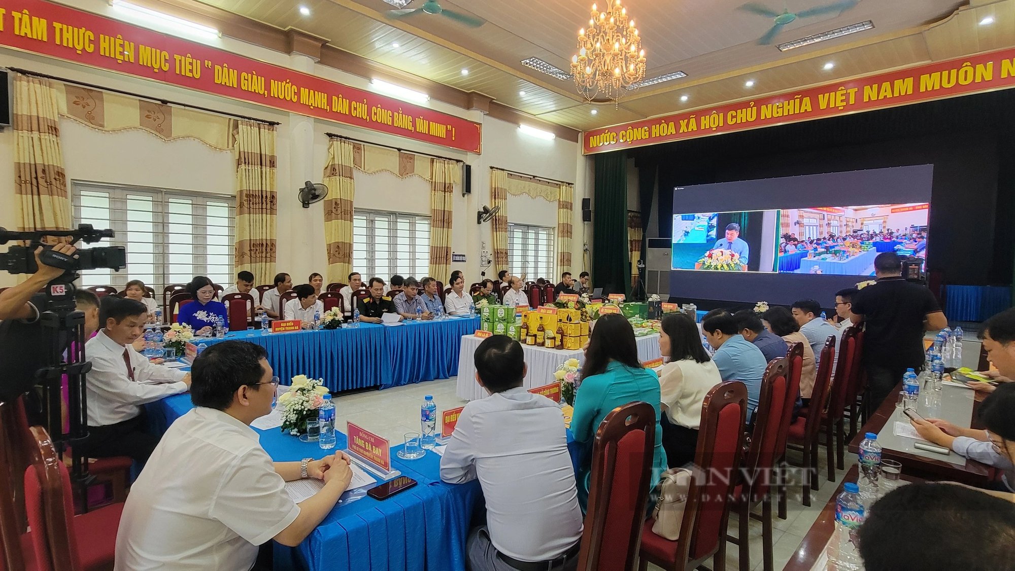 Thứ trái cây "tiến vua" sắp vào mùa, tỉnh Hải Dương bàn cách bán đi Âu - Mỹ - Ảnh 3.