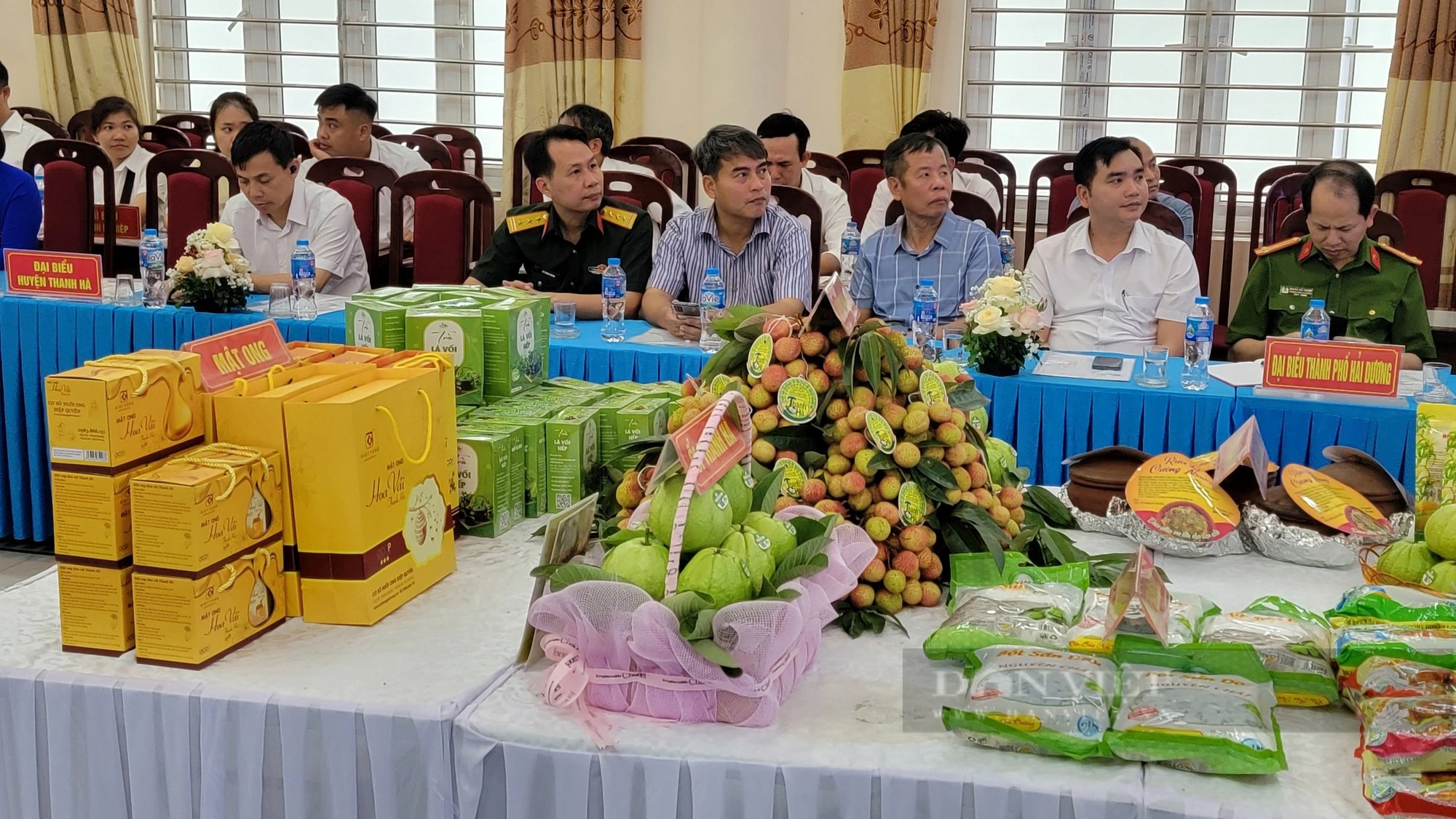 Thứ trái cây "tiến vua" sắp vào mùa, tỉnh Hải Dương bàn cách bán đi Âu - Mỹ - Ảnh 2.