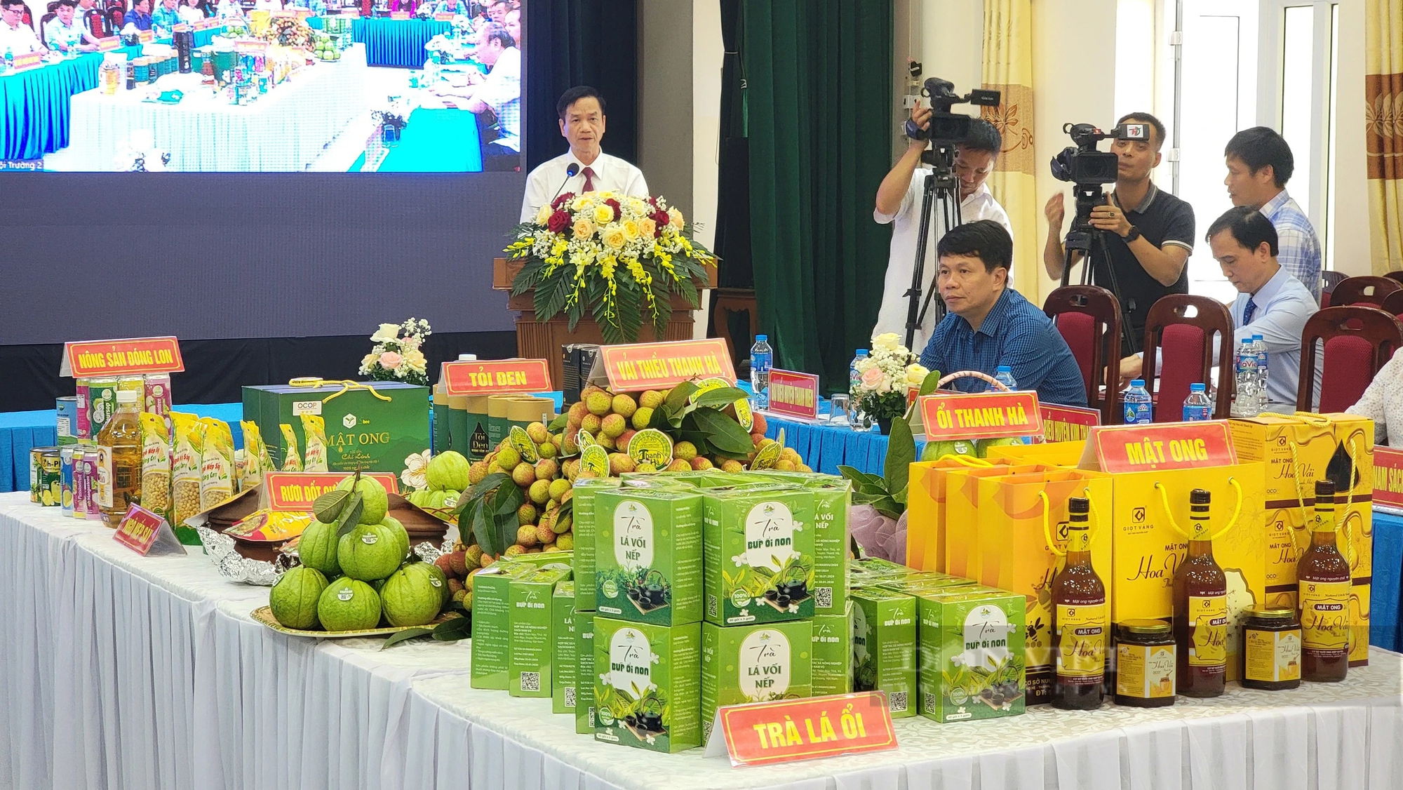 Thứ trái cây "tiến vua" sắp vào mùa, tỉnh Hải Dương bàn cách bán đi Âu - Mỹ - Ảnh 1.