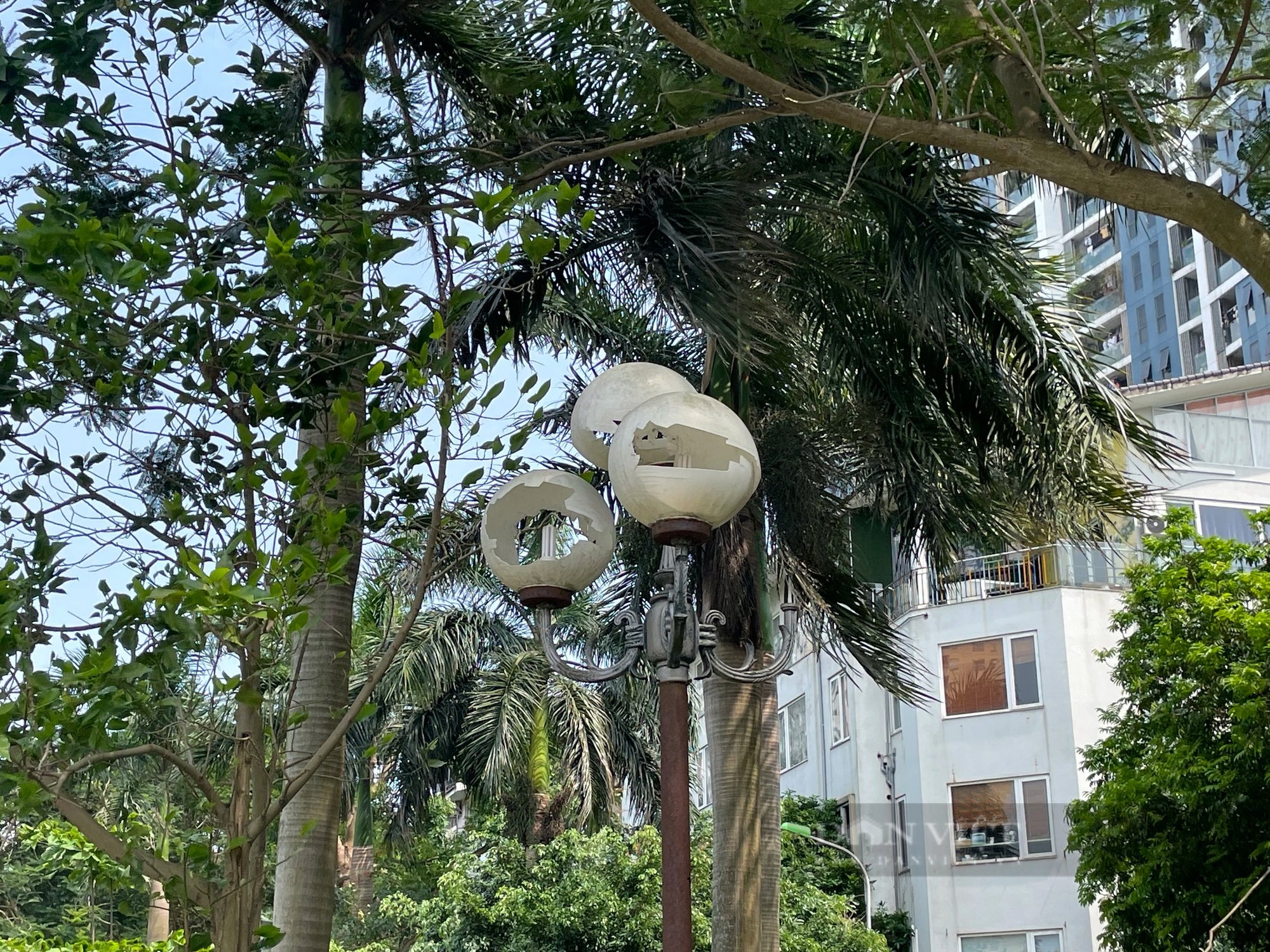 Hồ điều hòa Trung Văn “khát” nước dù Hà Nội mưa nhiều- Ảnh 8.