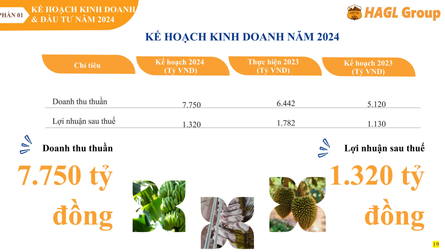 Hoàng Anh Gia Lai (HAG) trình kế hoạch lãi giảm 26%- Ảnh 1.