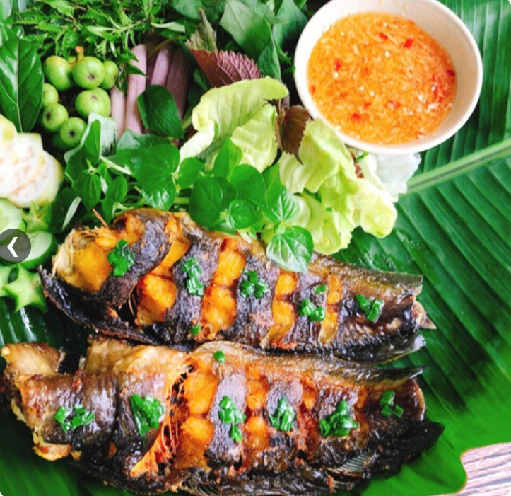 Anh nông dân kiếm hàng trăm triệu nhờ nuôi loại cá "sống ở trên cạn"- Ảnh 2. Anh nông dân kiếm hàng trăm triệu nhờ nuôi loại cá "sống ở trên cạn"- Ảnh 2.