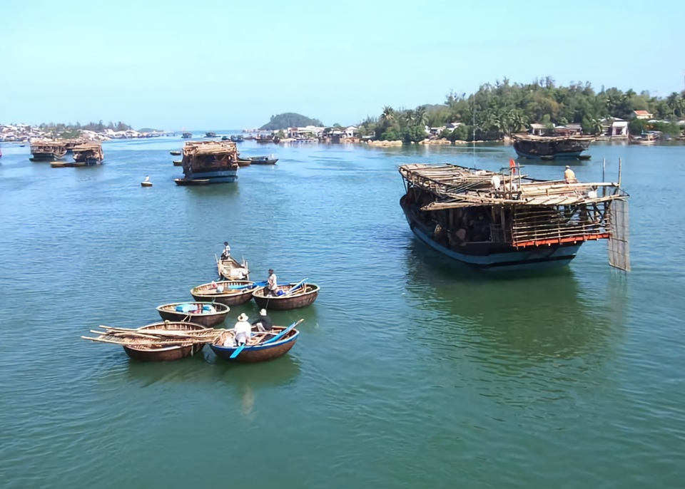 Mực xà là loại mực gì mà cứ tàu cập bờ là ngư dân hớn hở, một xã biển thu hàng trăm tỷ đồng?- Ảnh 5.