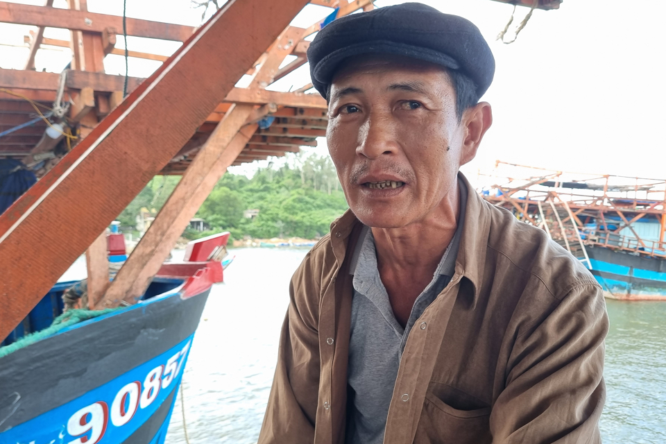 Mực xà là loại mực gì mà cứ tàu cập bờ là ngư dân hớn hở, một xã biển thu hàng trăm tỷ đồng?- Ảnh 7.