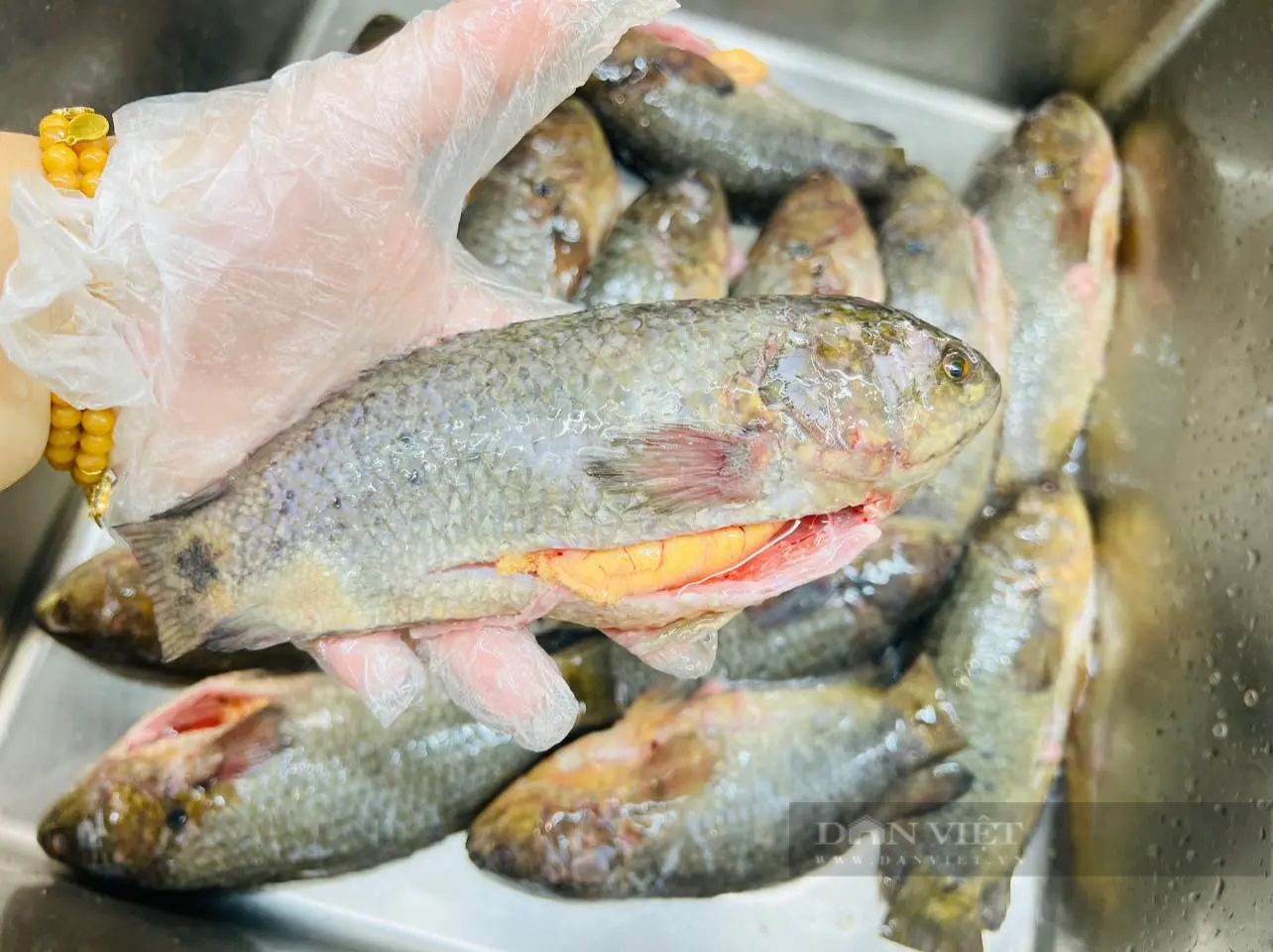 Loại thịt giàu chất đạm, ít chất béo, trẻ ăn cao, già ăn khỏe, nấu bánh canh ngon ngọt, thơm phức- Ảnh 1.