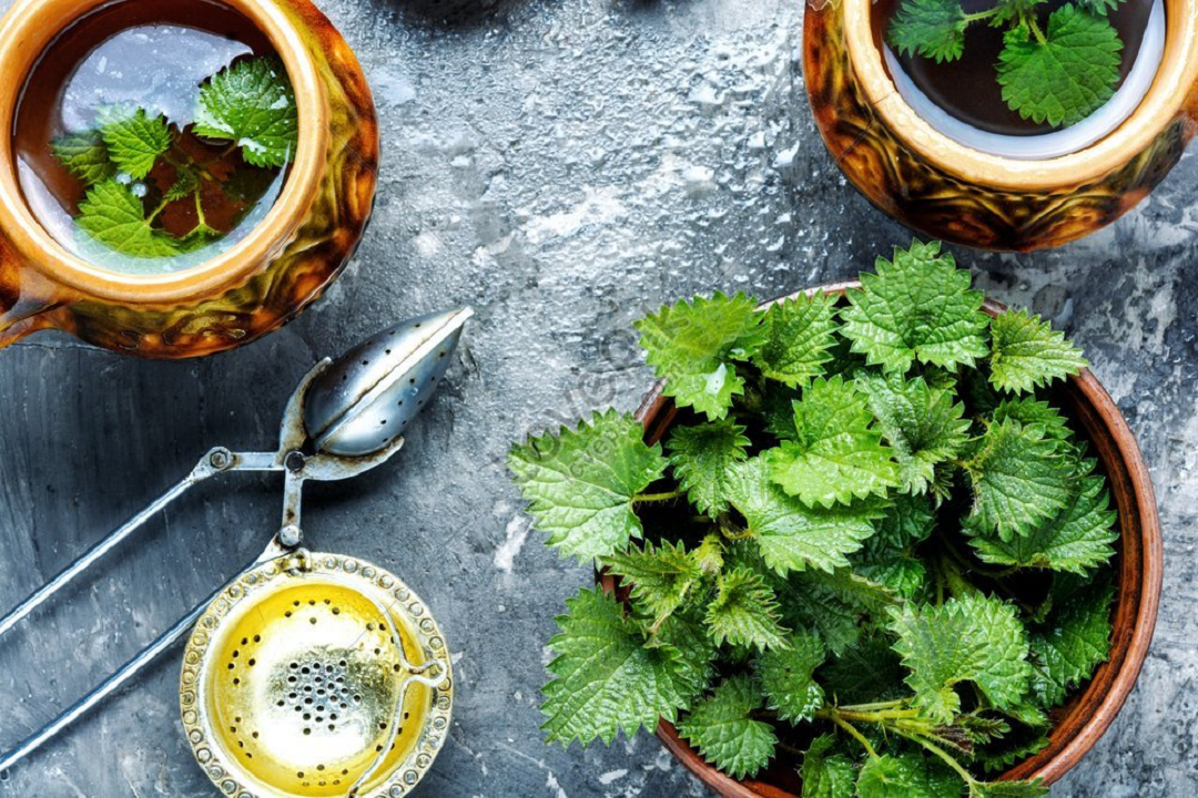 Loại cỏ "kẻ thù nhà nông" trước không ai ngó, nay thành đặc sản giá 120.000 đồng/kg- Ảnh 2. Loại cỏ "kẻ thù nhà nông" trước không ai ngó, nay thành đặc sản giá 120.000 đồng/kg- Ảnh 2.