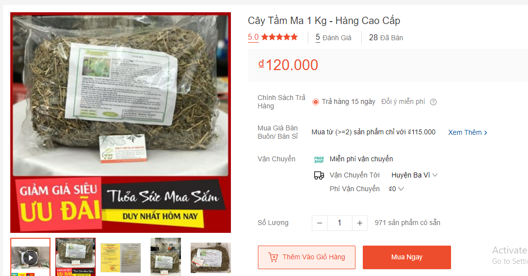 Loại cỏ "kẻ thù nhà nông" trước không ai ngó, nay thành đặc sản giá 120.000 đồng/kg- Ảnh 3. Loại cỏ "kẻ thù nhà nông" trước không ai ngó, nay thành đặc sản giá 120.000 đồng/kg- Ảnh 3.