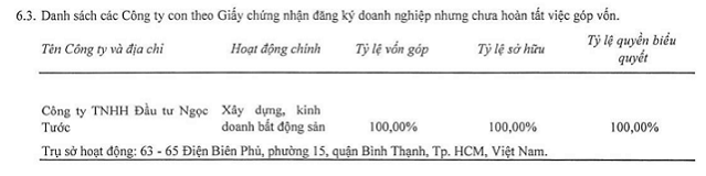 Địa ốc Sài Gòn (SGR) giải thể một công ty con chưa góp vốn - Ảnh 2.