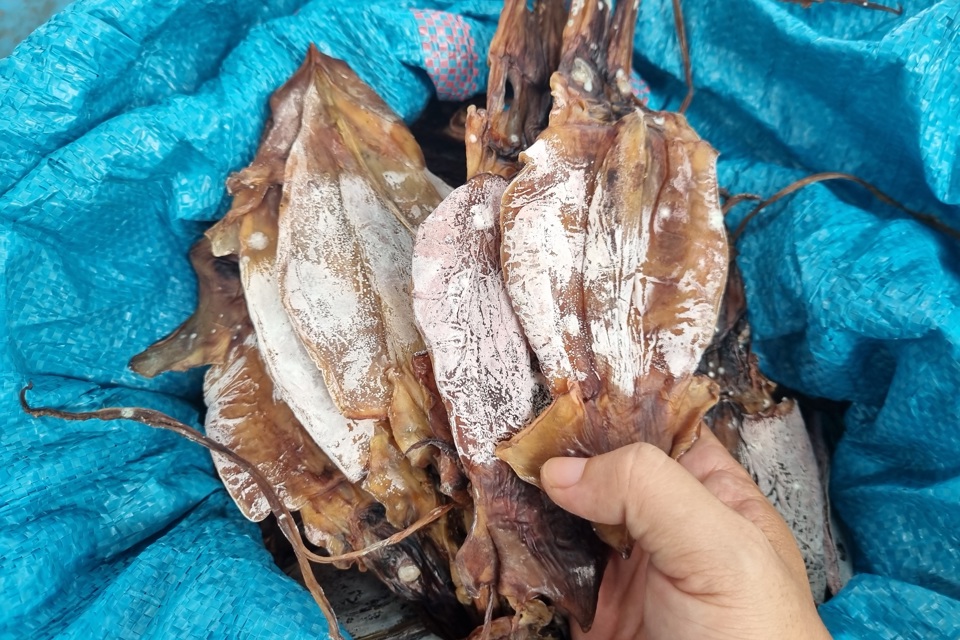 Mực xà là loại mực gì mà cứ tàu cập bờ là ngư dân hớn hở, một xã biển thu hàng trăm tỷ đồng?- Ảnh 6.