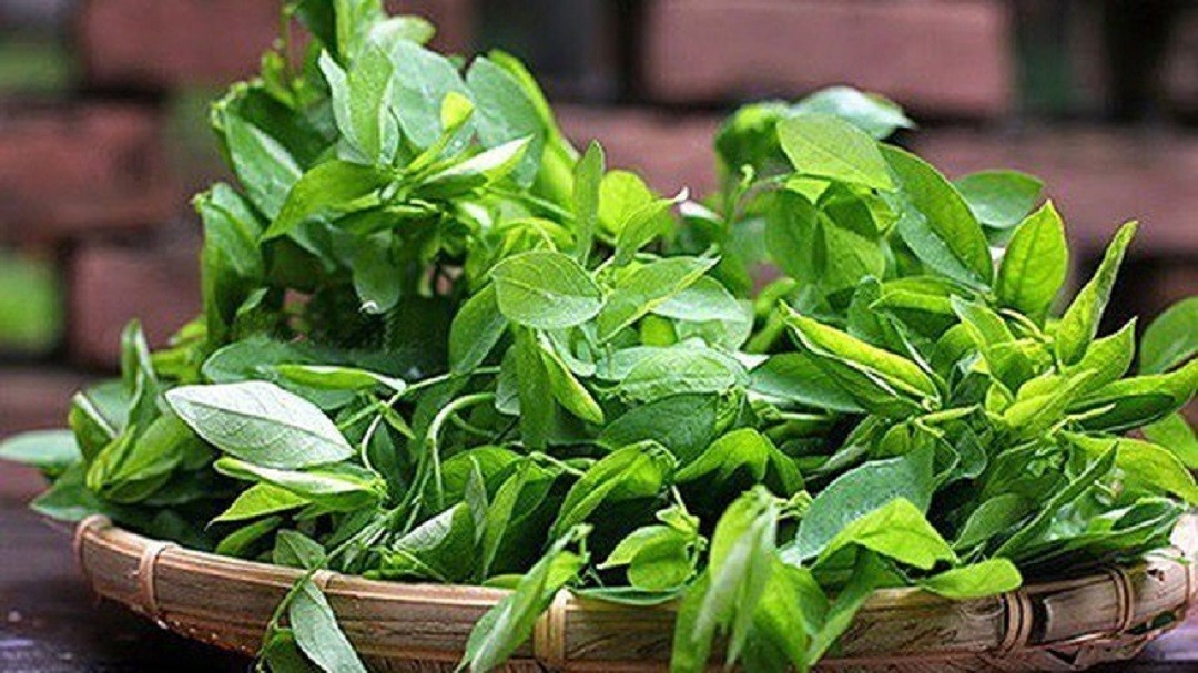 Ăn 1 mớ rau này tốt ngang thịt, chỉ vài nghìn đồng chợ nào cũng bán- Ảnh 3. Ăn 1 mớ rau này tốt ngang thịt, chỉ vài nghìn đồng chợ nào cũng bán- Ảnh 3.