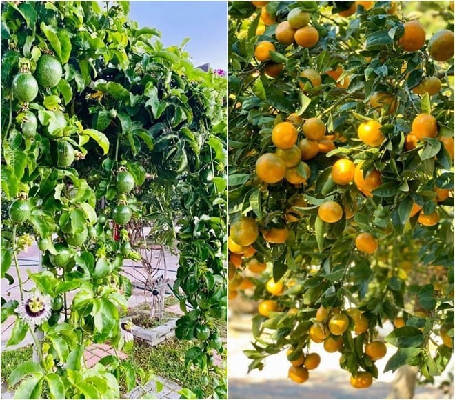 Bằng Kiều tặng mẹ món quà đắt tiền trong biệt thự 2000m2 ở Mỹ- Ảnh 19.