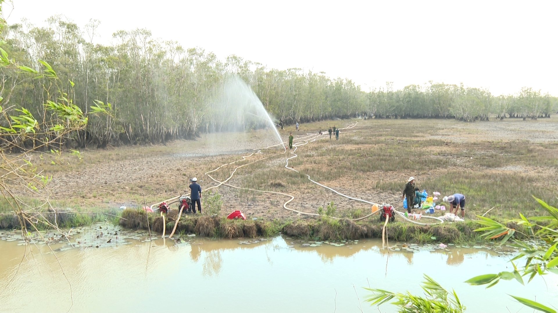 Vụ cháy Vườn quốc gia Tràm Chim (Đồng Tháp): Đã có thống kê diện tích thiệt hại- Ảnh 2.