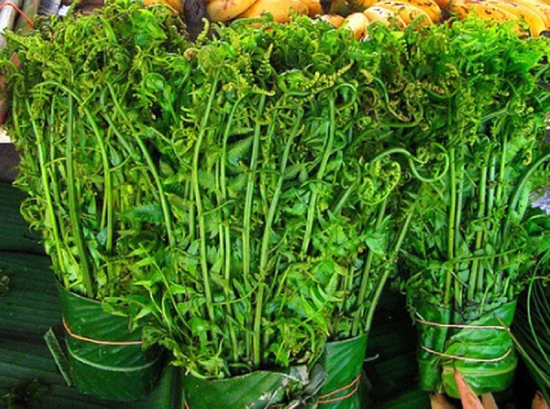 Ăn 1 mớ rau này tốt ngang thịt bò, nhìn qua cứ tưởng "cỏ dại"- Ảnh 1. Ăn 1 mớ rau này tốt ngang thịt bò, nhìn qua cứ tưởng "cỏ dại"- Ảnh 1.