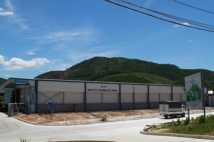 Nhà máy sản xuất trứng gà 800 tỷ đồng ở Phú Thọ bị ngân hàng 