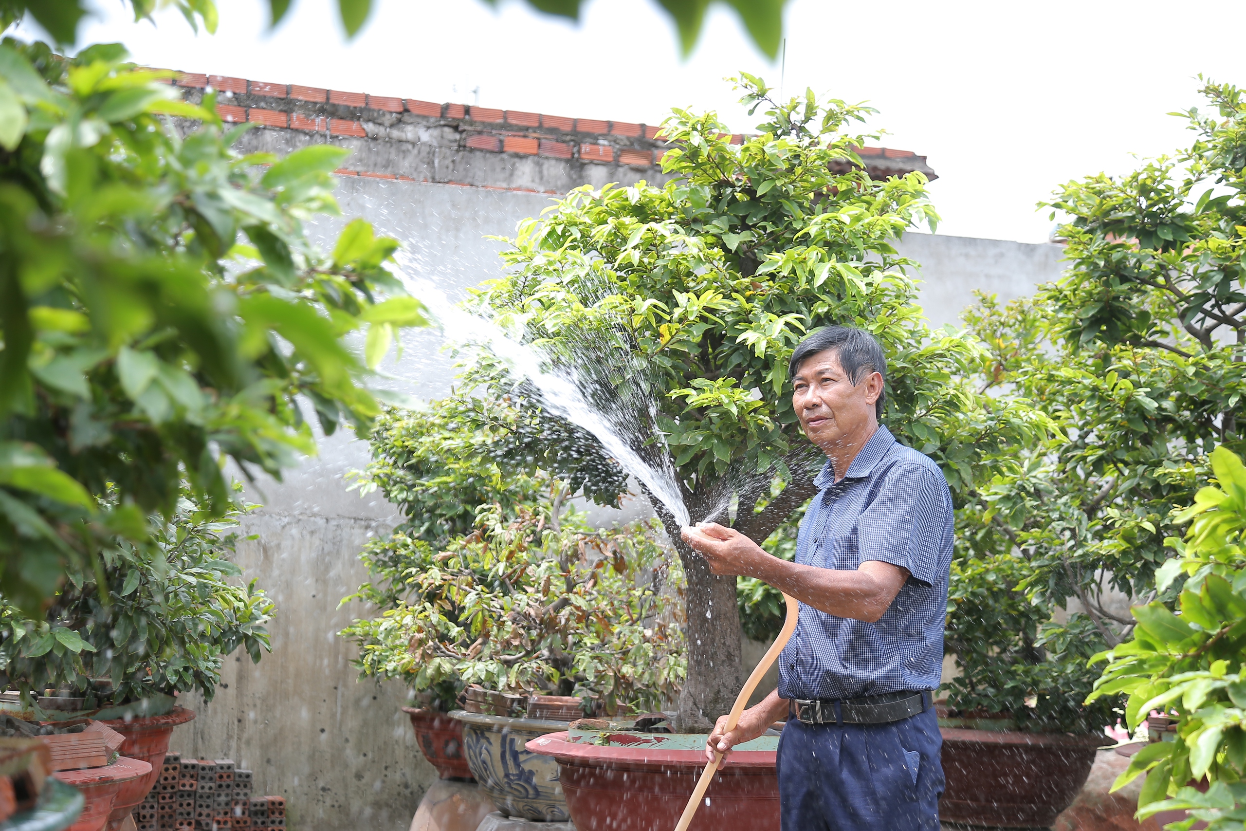TP.HCM xây dựng 5 huyện lên quận, định hướng phát triển nông nghiệp ra sao?- Ảnh 3.