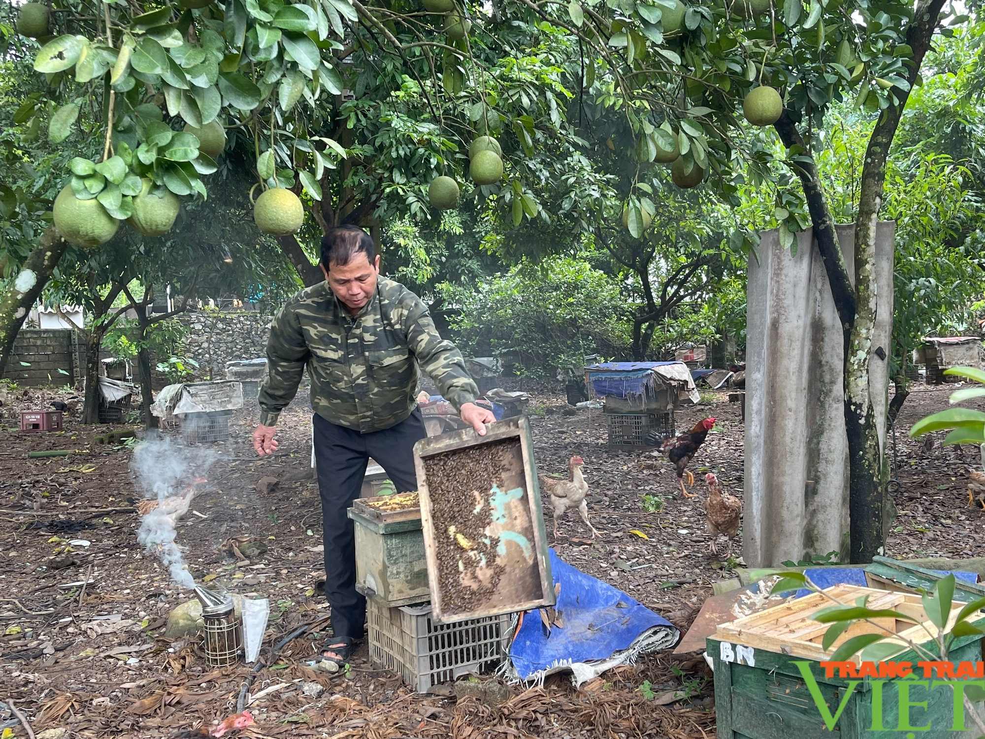 Hội Nông dân một xã ở Hòa Bình chung tay giữ vững chất lượng các tiêu chí NTM nâng cao- Ảnh 1.