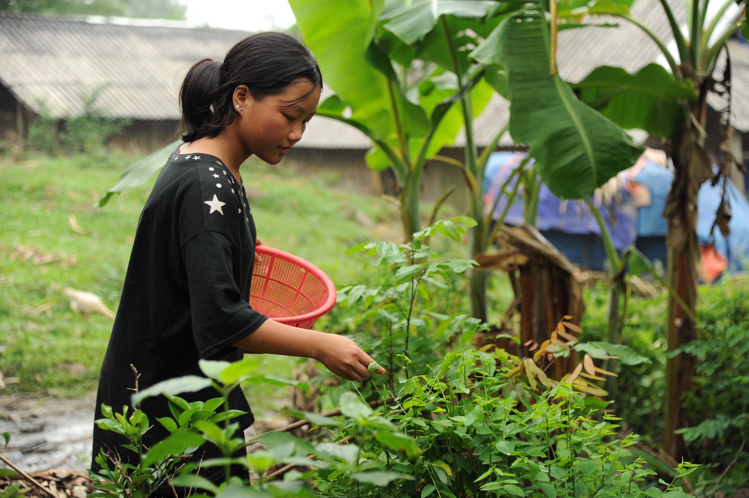 “Đến con gà, con lợn tôi cũng bán sạch, không thể để con nghỉ học”- Ảnh 5.