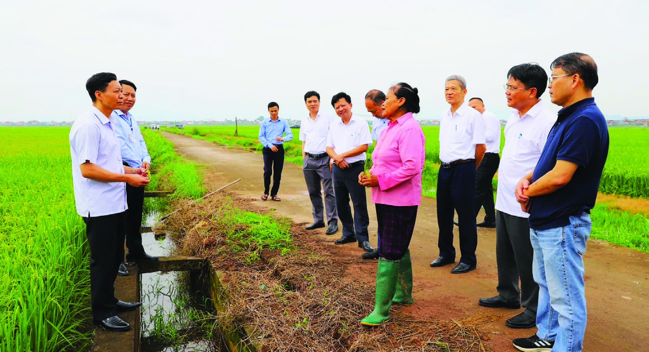 Khát vọng Supe Lâm Thao- Ảnh 3.