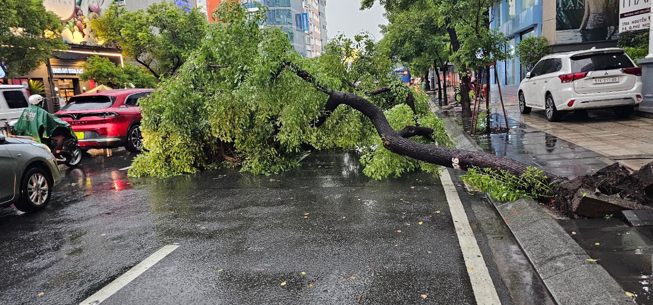 TP.HCM xuất hiện mưa đá, chuyên gia lý giải nguyên nhân- Ảnh 3.