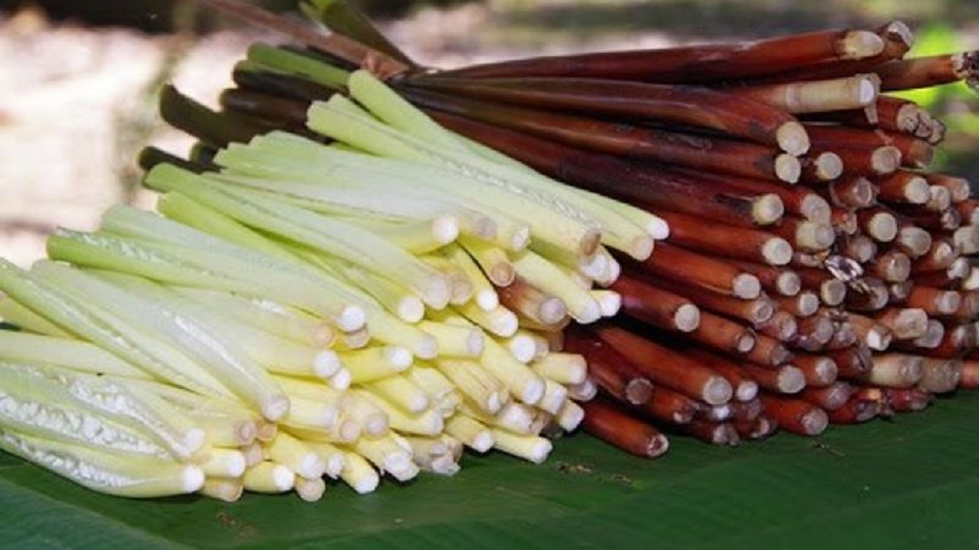 Ăn 1 mớ rau này tốt ngang thịt, xưa không ai "ngó" nay nhổ bán "hái ra tiền"- Ảnh 2. Ăn 1 mớ rau này tốt ngang thịt, xưa không ai "ngó" nay nhổ bán "hái ra tiền"- Ảnh 2.