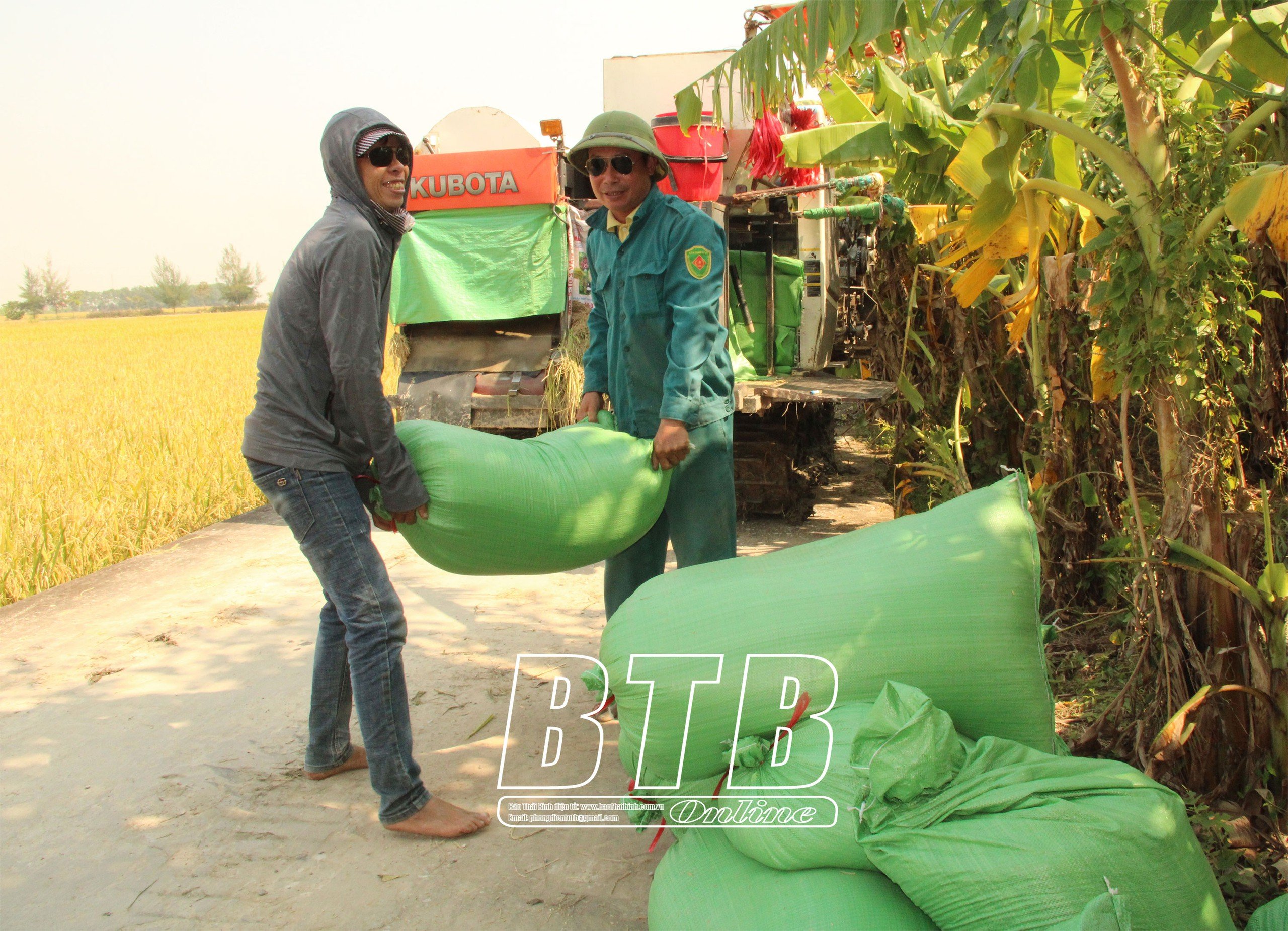 Những nông dân nhiều ruộng ở Thái Bình, mỗi vụ thu trăm tấn thóc, làm lúa lãi 600 - 800 triệu/năm- Ảnh 1.