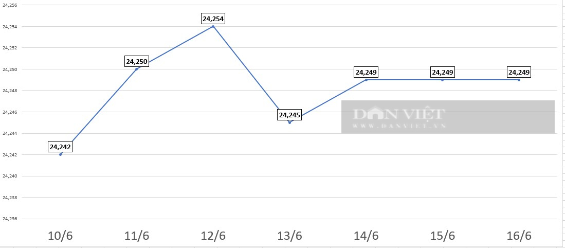 Giá USD hôm nay 16/6: Đồng bạc xanh tăng lên mức cao nhất gần 7 tuần- Ảnh 2.