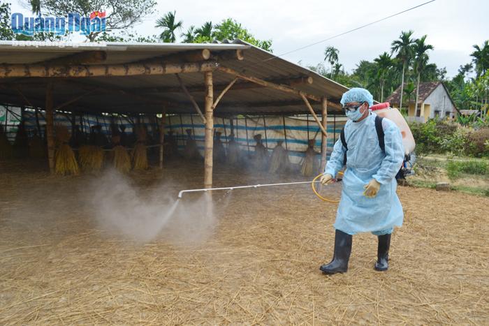 Tập trung phòng chống dịch bệnh gia súc, gia cầm- Ảnh 4.