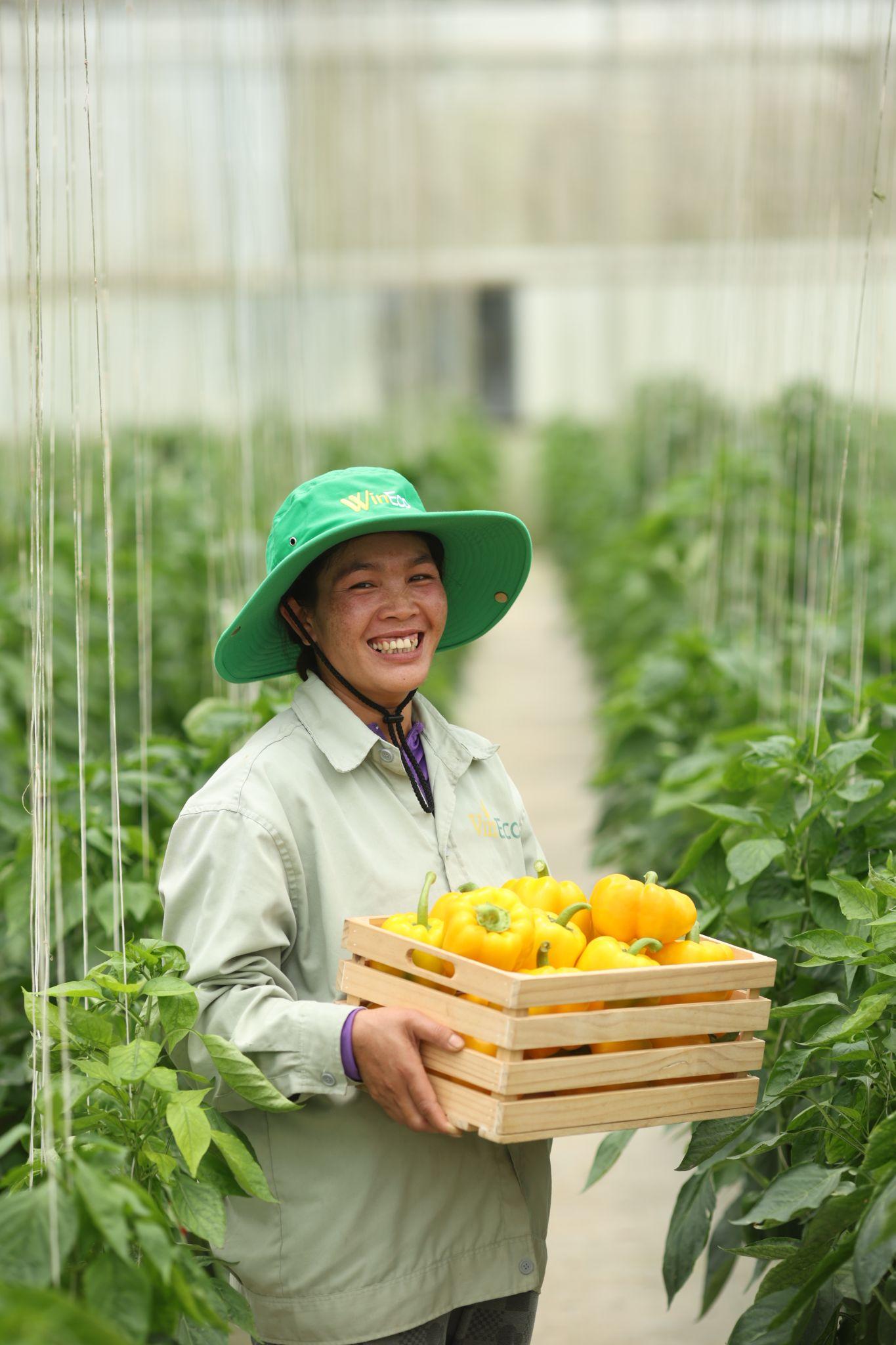 Phóng sự ảnh: Một ngày làm việc ngập tràn hạnh phúc ở Nông trường rau sạch WinEco- Ảnh 1.