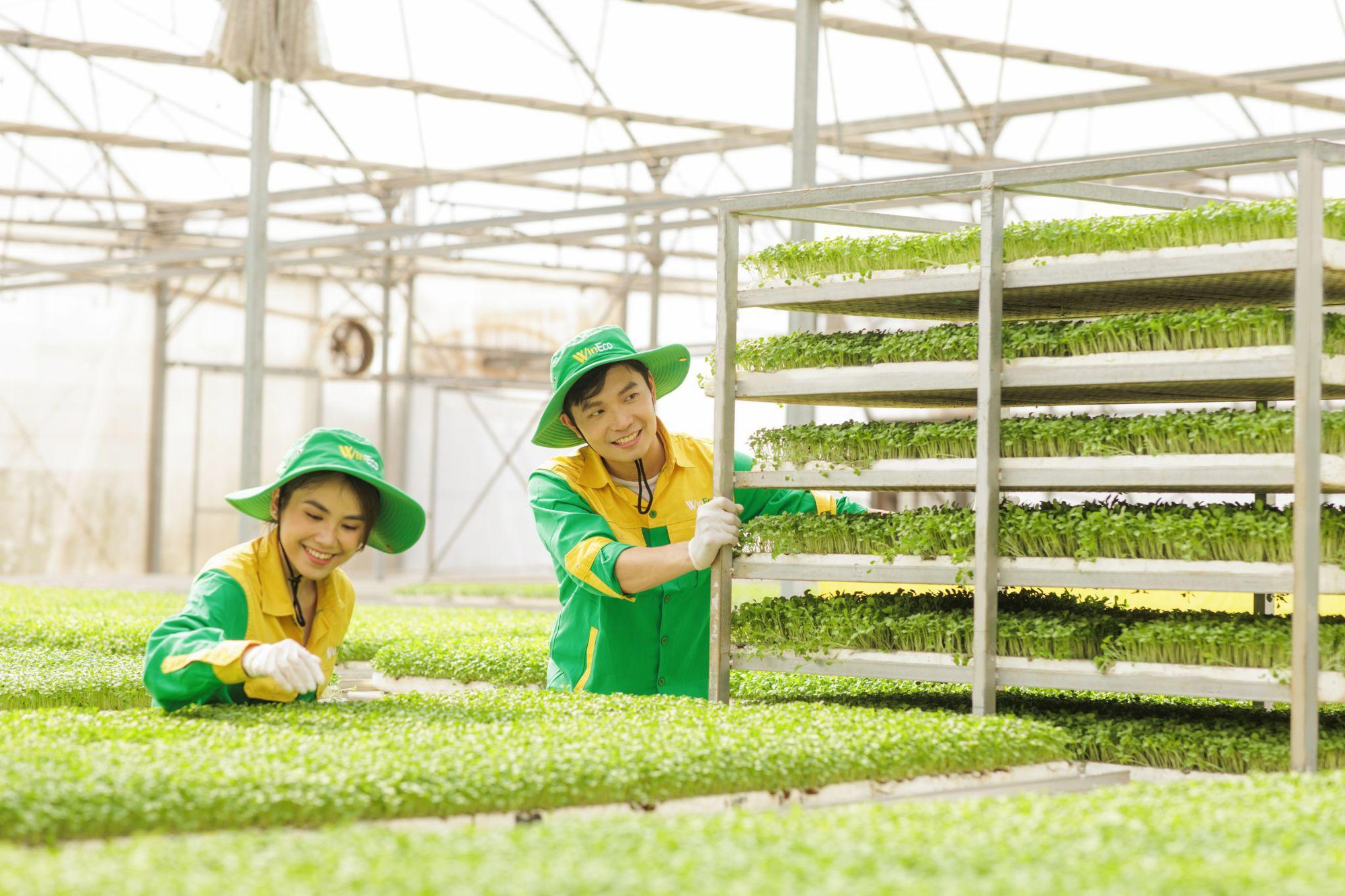 Phóng sự ảnh: Một ngày làm việc ngập tràn hạnh phúc ở Nông trường rau sạch WinEco- Ảnh 6.