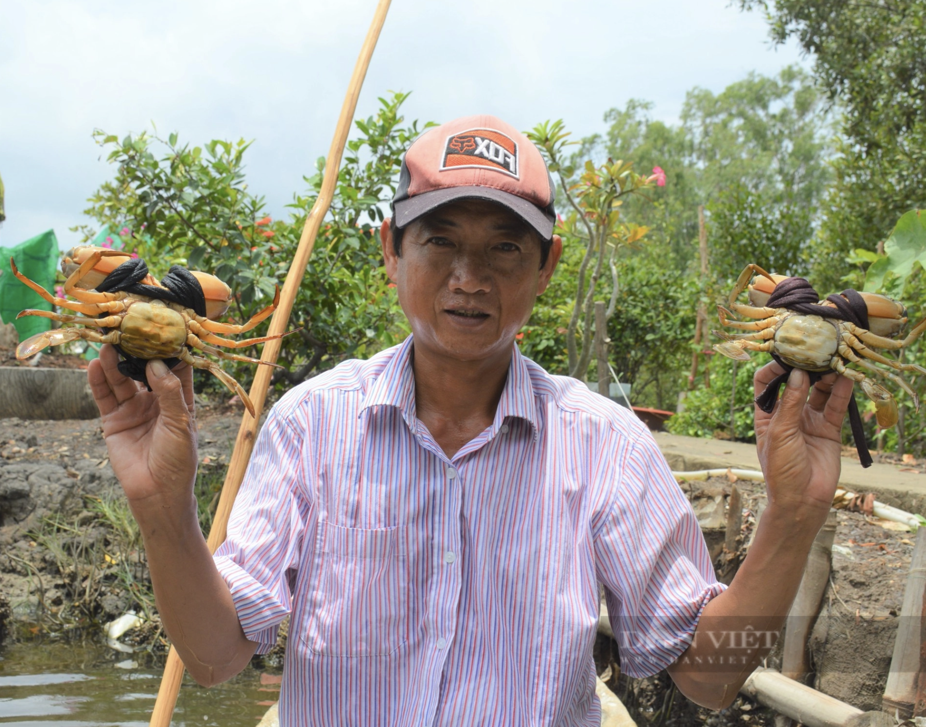 Nhiều chủ vựa cua than khó vì “tắc” hàng vào sân bay Tân Sơn Nhất- Ảnh 3.