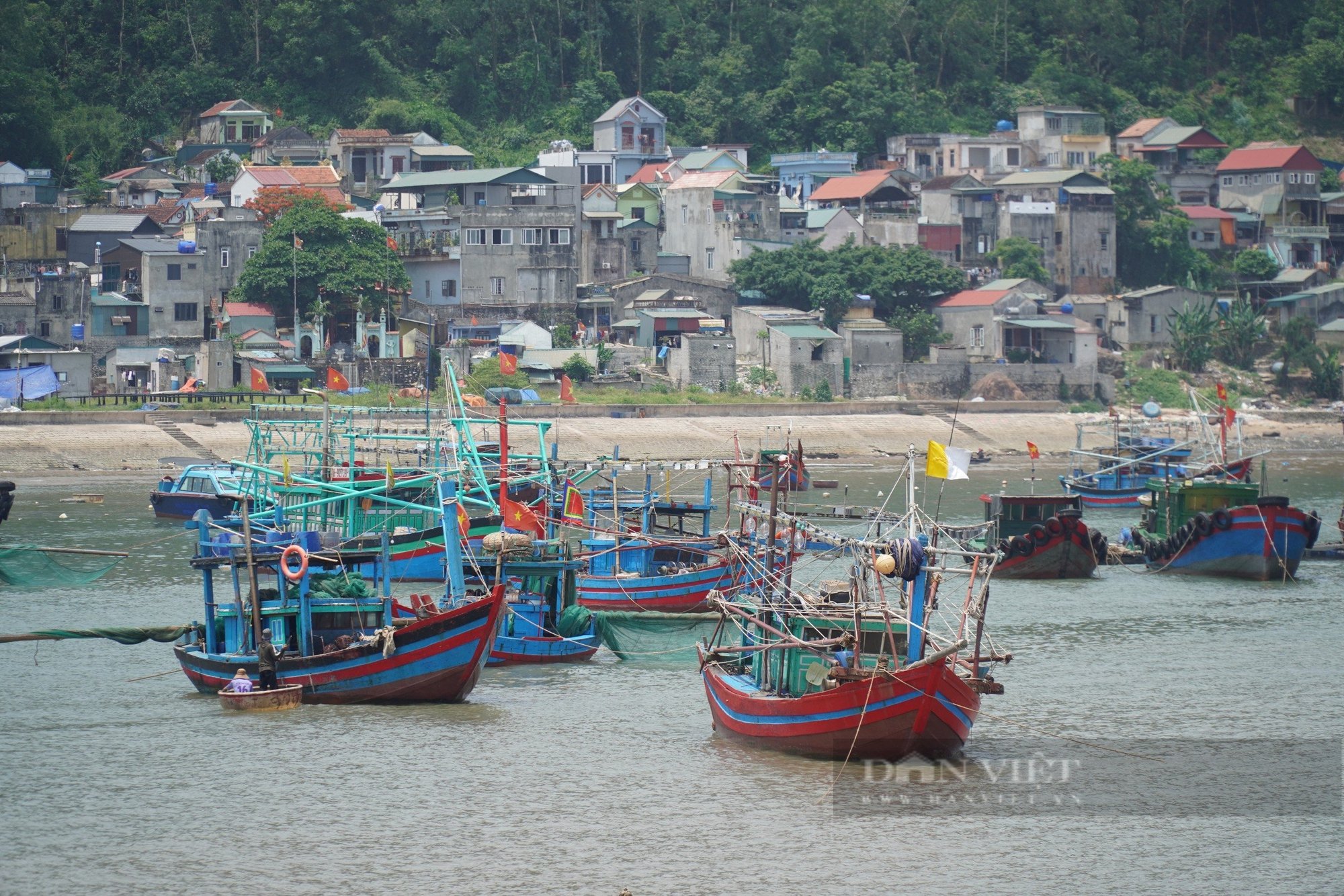 Xã đảo Nghi Sơn - mảnh đất hoang sơ, tĩnh lặng bên sóng biển- Ảnh 5.