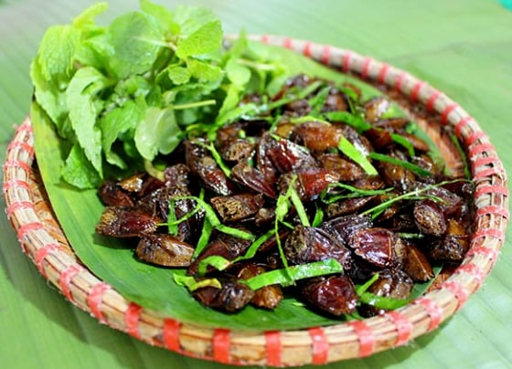 Kể chuyện làng: Đặc sản bọ xít trứ danh ngon "quên đường về" của bà con người Thái Tây Bắc- Ảnh 3.