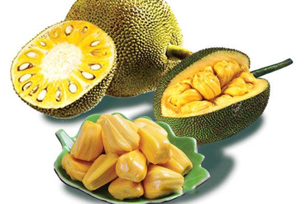 Loại hạt người Việt thường vứt bỏ khi ăn nhưng là bộ phận đắt giá- Ảnh 1. Loại hạt người Việt thường vứt bỏ khi ăn nhưng là bộ phận đắt giá- Ảnh 1.