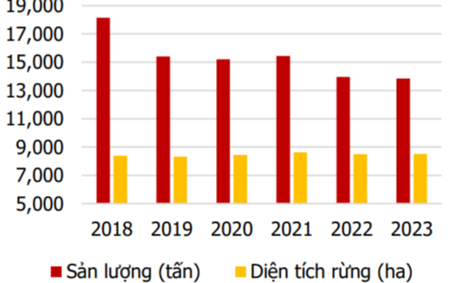 Agriseco Research dự báo thế nào về cổ phiếu DRI của Cao su Đắk Lắk?- Ảnh 1.