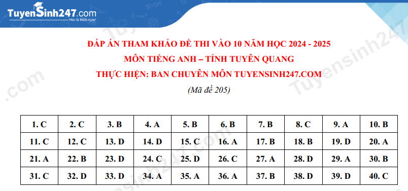 Đề thi môn Tiếng Anh vào lớp 10 năm 2024 của Tuyên Quang có gợi ý đáp án- Ảnh 1.