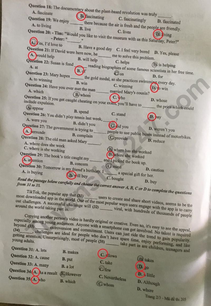 Đề thi môn Tiếng Anh vào lớp 10 năm 2024 của Tuyên Quang có gợi ý đáp án- Ảnh 3.