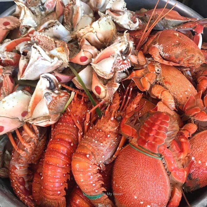 Hè này lang thang làng chài Hải Minh ở Quy Nhơn - chốn yên bình, đẹp ngất ngây- Ảnh 7.