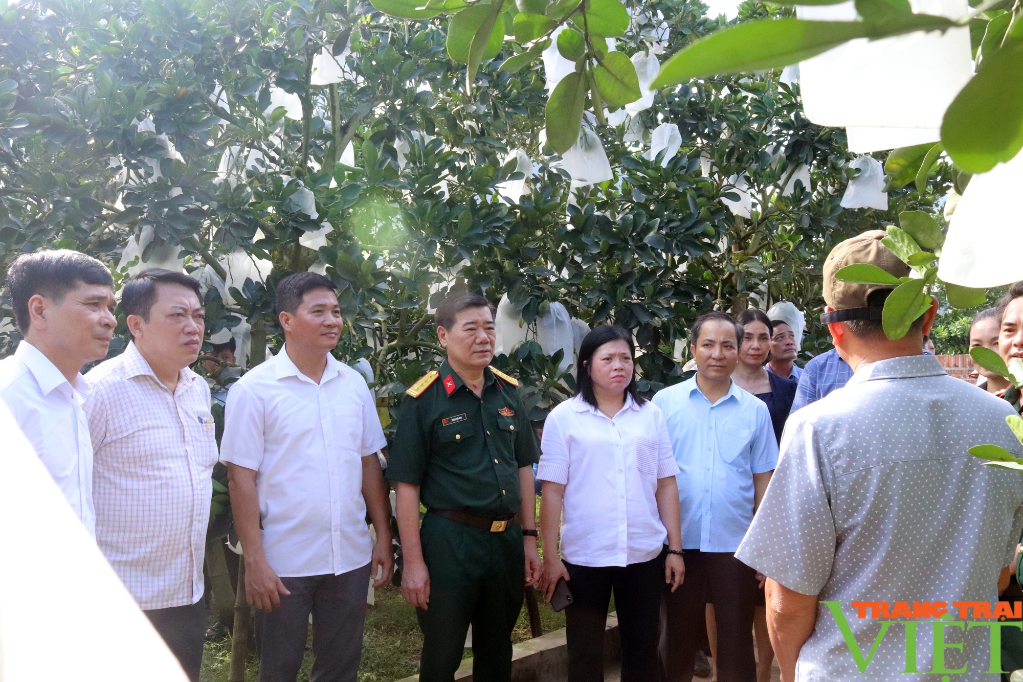 Nâng cao hiệu quả trong công tác phối hợp thực hiện chương trình 1781 tại Hòa Bình- Ảnh 7. Nâng cao hiệu quả trong công tác phối hợp thực hiện chương trình 1781 tại Hòa Bình- Ảnh 7.